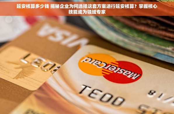 延安核算多少钱 揭秘企业为何选择这套方案进行延安核算？掌握核心技能成为领域专家