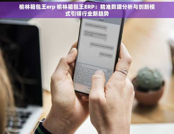 榆林箱包王erp 榆林箱包王ERP：精准数据分析与创新模式引领行业新趋势