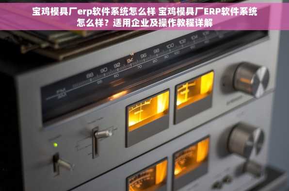 宝鸡模具厂erp软件系统怎么样 宝鸡模具厂ERP软件系统怎么样？适用企业及操作教程详解
