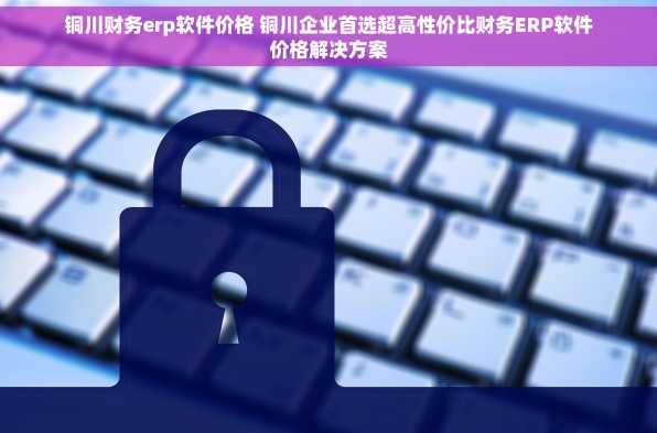 铜川财务erp软件价格 铜川企业首选超高性价比财务ERP软件价格解决方案