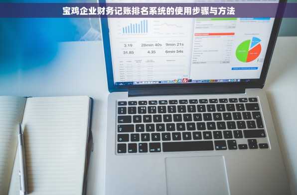 宝鸡企业财务记账排名系统的使用步骤与方法
