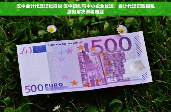 汉中会计代理记账报税 汉中初创与中小企业优选，会计代理记账报税服务解决财税难题