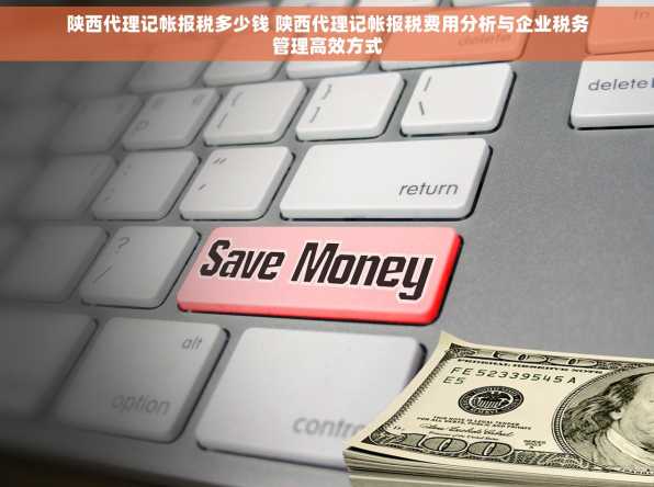 陕西代理记帐报税多少钱 陕西代理记帐报税费用分析与企业税务管理高效方式