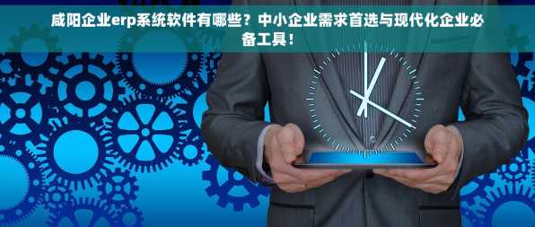 咸阳企业erp系统软件有哪些？中小企业需求首选与现代化企业必备工具！