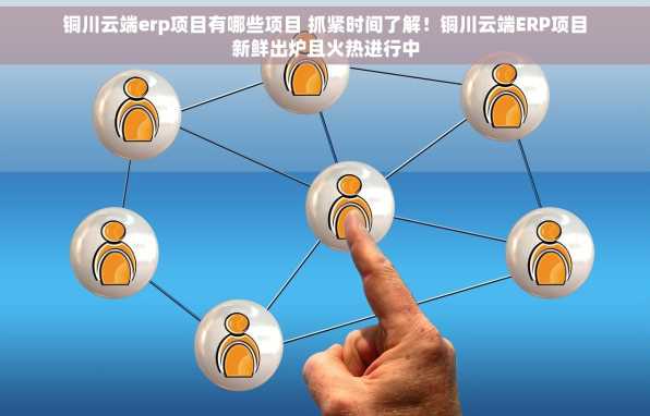 铜川云端erp项目有哪些项目 抓紧时间了解！铜川云端ERP项目新鲜出炉且火热进行中