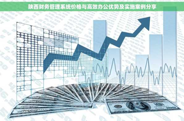 陕西财务管理系统价格与高效办公优势及实施案例分享