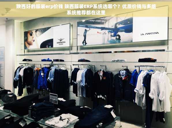 陕西好的服装erp价钱 陕西服装ERP系统选哪个？优质价钱与多组系统推荐都在这里