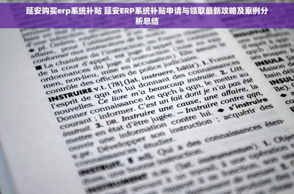 延安购买erp系统补贴 延安ERP系统补贴申请与领取最新攻略及案例分析总结