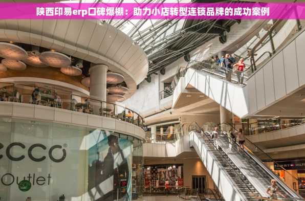 陕西印易erp口碑爆棚：助力小店转型连锁品牌的成功案例