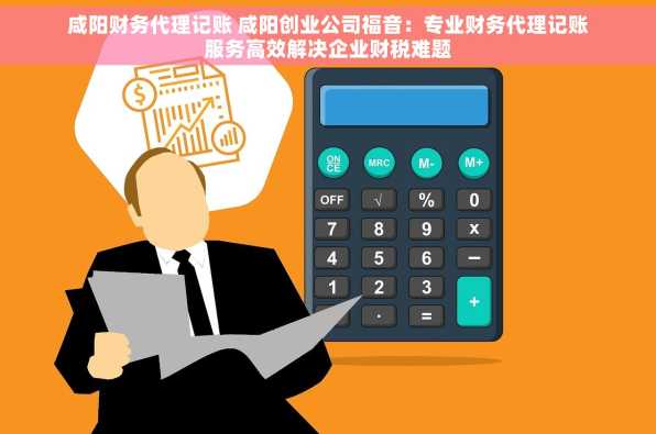 咸阳财务代理记账 咸阳创业公司福音：专业财务代理记账服务高效解决企业财税难题