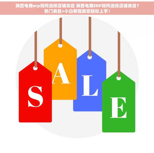 陕西电商erp如何选择店铺类目 陕西电商ERP如何选择店铺类目？热门类目+小白教程助您轻松上手！