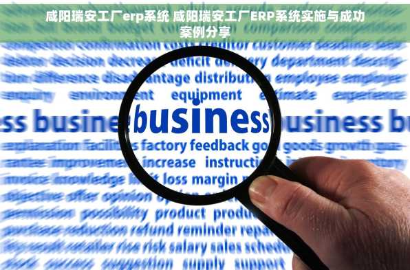 咸阳瑞安工厂erp系统 咸阳瑞安工厂ERP系统实施与成功案例分享