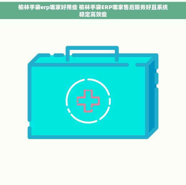 榆林手袋erp哪家好用些 榆林手袋ERP哪家售后服务好且系统稳定高效些