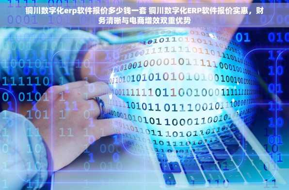 铜川数字化erp软件报价多少钱一套 铜川数字化ERP软件报价实惠，财务清晰与电商增效双重优势