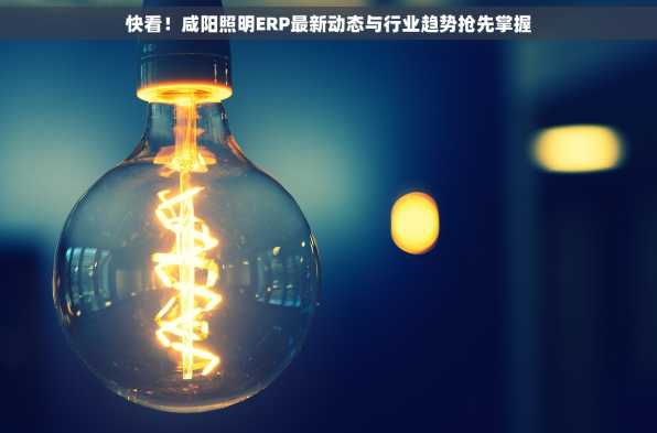 快看！咸阳照明ERP最新动态与行业趋势抢先掌握