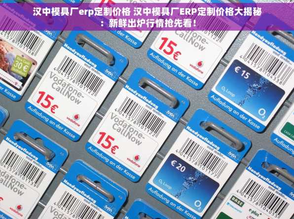 汉中模具厂erp定制价格 汉中模具厂ERP定制价格大揭秘：新鲜出炉行情抢先看！