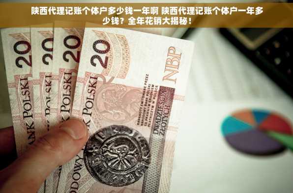 陕西代理记账个体户多少钱一年啊 陕西代理记账个体户一年多少钱？全年花销大揭秘！