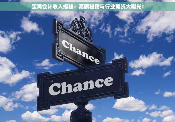宝鸡会计收入揭秘：高薪秘籍与行业薪资大曝光！