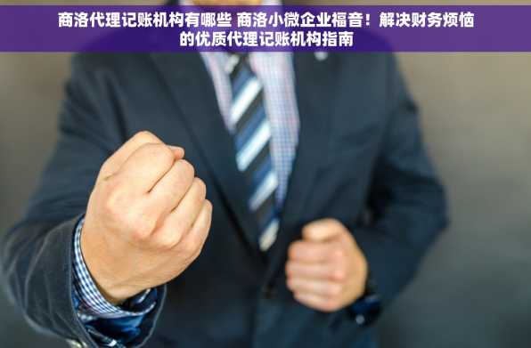 商洛代理记账机构有哪些 商洛小微企业福音！解决财务烦恼的优质代理记账机构指南