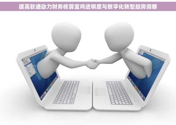 提高软通动力财务核算宝鸡透明度与数字化转型趋势洞察