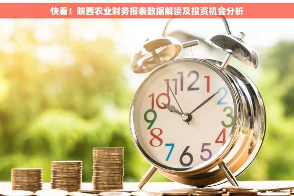快看！陕西农业财务报表数据解读及投资机会分析