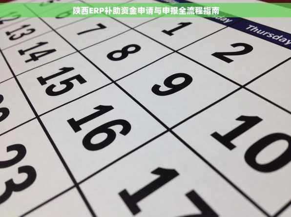 陕西ERP补助资金申请与申报全流程指南