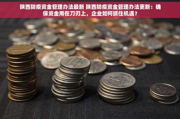 陕西防疫资金管理办法最新 陕西防疫资金管理办法更新：确保资金用在刀刃上，企业如何抓住机遇？