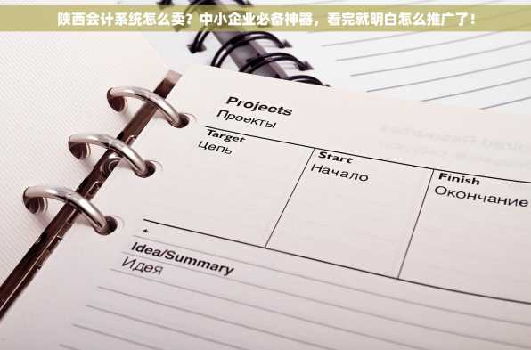 陕西会计系统怎么卖？中小企业必备神器，看完就明白怎么推广了！