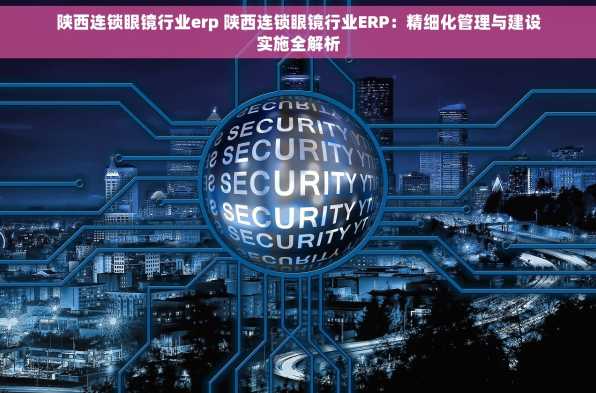 陕西连锁眼镜行业erp 陕西连锁眼镜行业ERP：精细化管理与建设实施全解析
