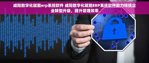 咸阳数字化赋能erp系统软件 咸阳数字化赋能ERP系统软件助力传统企业转型升级，提升管理效率