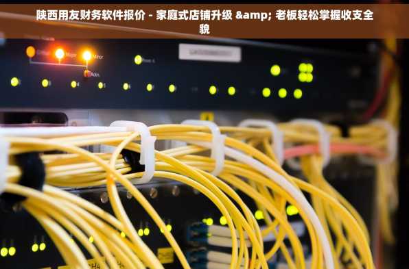 陕西用友财务软件报价 - 家庭式店铺升级 & 老板轻松掌握收支全貌