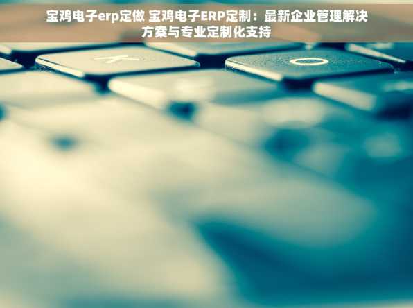 宝鸡电子erp定做 宝鸡电子ERP定制：最新企业管理解决方案与专业定制化支持