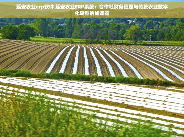 延安农业erp软件 延安农业ERP系统：合作社财务管理与传统农业数字化转型的加速器