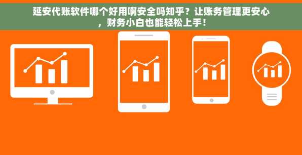 延安代账软件哪个好用啊安全吗知乎？让账务管理更安心，财务小白也能轻松上手！