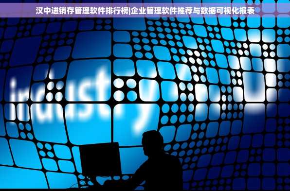 汉中进销存管理软件排行榜|企业管理软件推荐与数据可视化报表