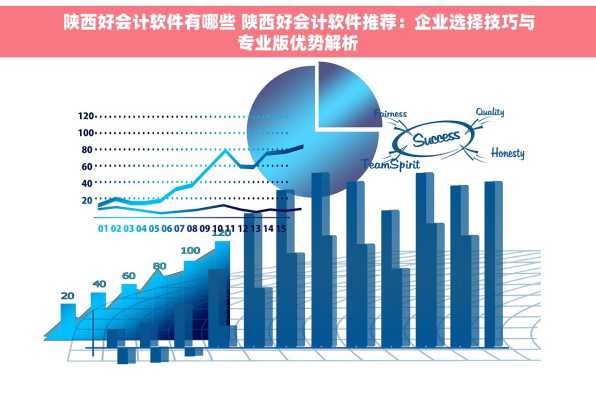 陕西好会计软件有哪些 陕西好会计软件推荐：企业选择技巧与专业版优势解析