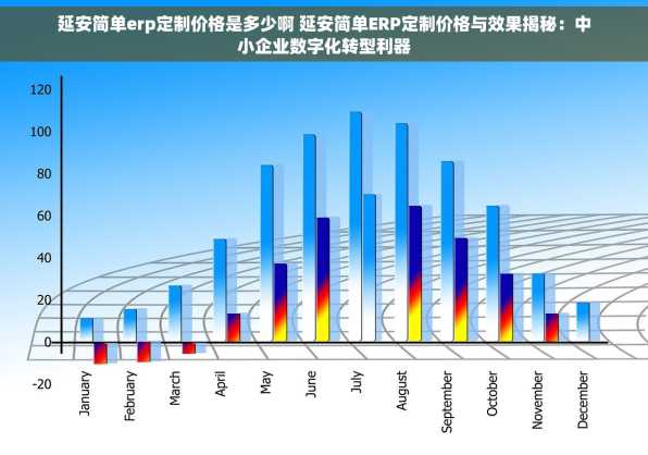 延安简单erp定制价格是多少啊 延安简单ERP定制价格与效果揭秘：中小企业数字化转型利器