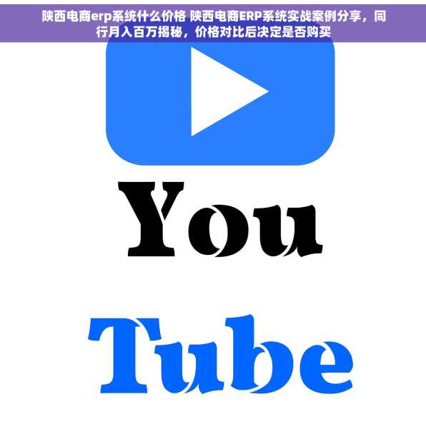 陕西电商erp系统什么价格 陕西电商ERP系统实战案例分享，同行月入百万揭秘，价格对比后决定是否购买