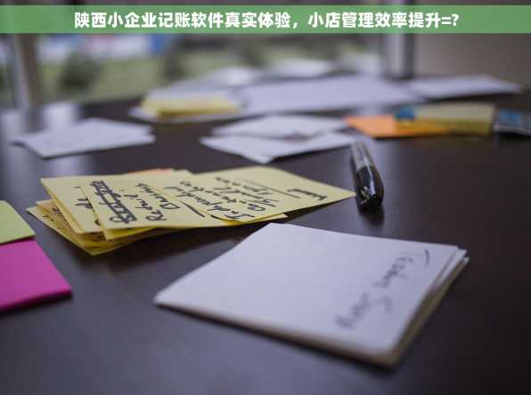 陕西小企业记账软件真实体验，小店管理效率提升=?