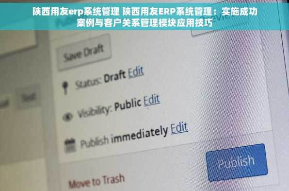 陕西用友erp系统管理 陕西用友ERP系统管理：实施成功案例与客户关系管理模块应用技巧