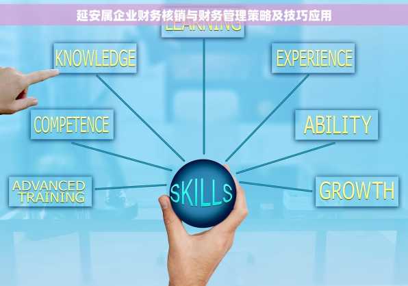 延安属企业财务核销与财务管理策略及技巧应用