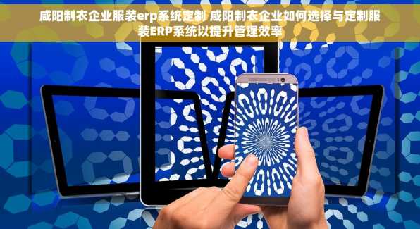 咸阳制衣企业服装erp系统定制 咸阳制衣企业如何选择与定制服装ERP系统以提升管理效率