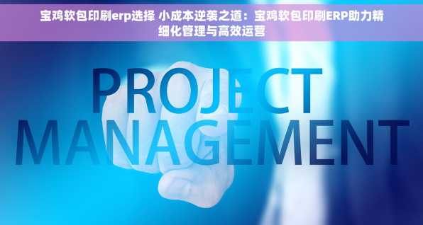 宝鸡软包印刷erp选择 小成本逆袭之道：宝鸡软包印刷ERP助力精细化管理与高效运营