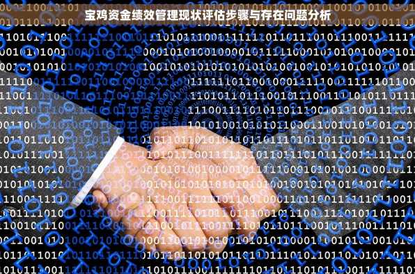 宝鸡资金绩效管理现状评估步骤与存在问题分析