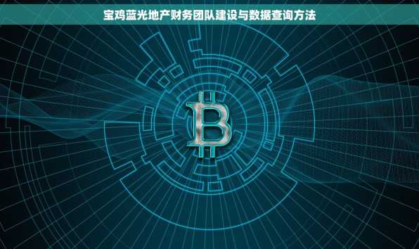 宝鸡蓝光地产财务团队建设与数据查询方法