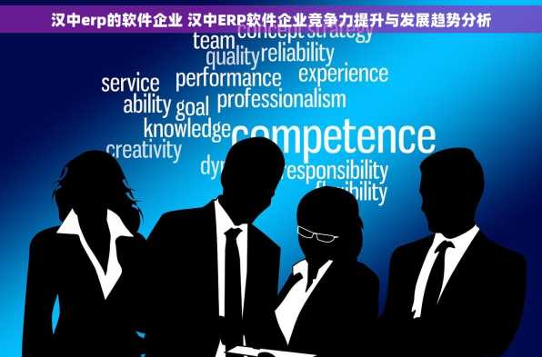汉中erp的软件企业 汉中ERP软件企业竞争力提升与发展趋势分析