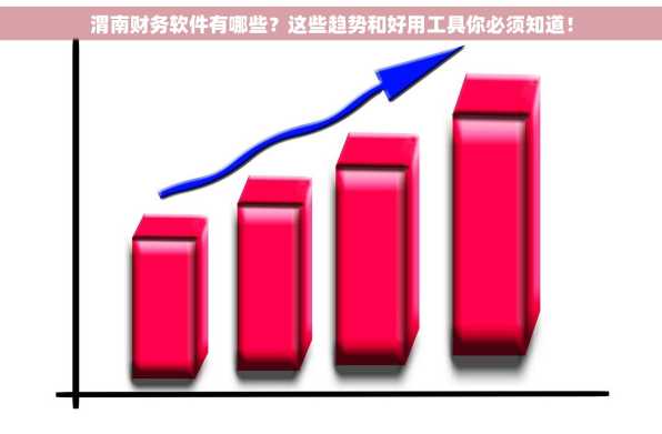 渭南财务软件有哪些？这些趋势和好用工具你必须知道！