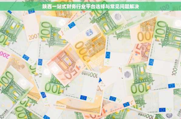 陕西一站式财务行业平台选择与常见问题解决