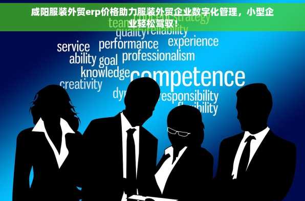 咸阳服装外贸erp价格助力服装外贸企业数字化管理，小型企业轻松驾驭！