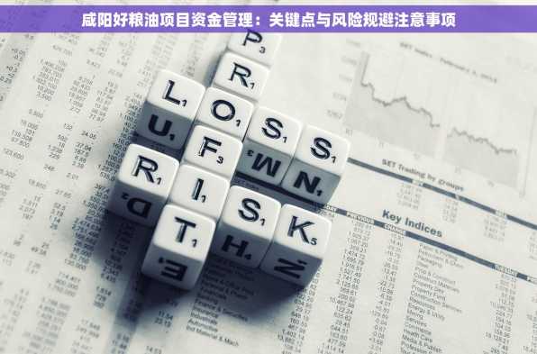 咸阳好粮油项目资金管理：关键点与风险规避注意事项